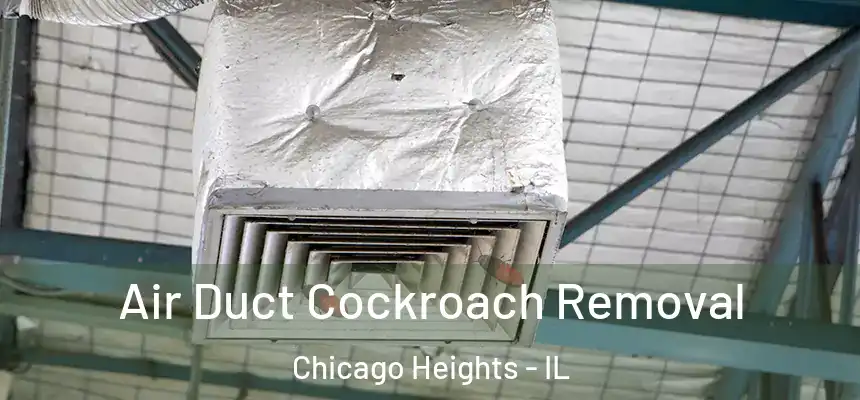  Air Duct Cockroach Removal Chicago Heights - IL