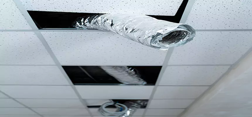 Affordable HVAC Sanitizing After Pest Removal in Chicago Heights