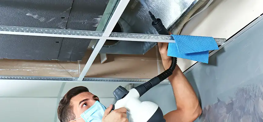 Our Air Duct Rodent Removal Services in Chicago Heights, IL