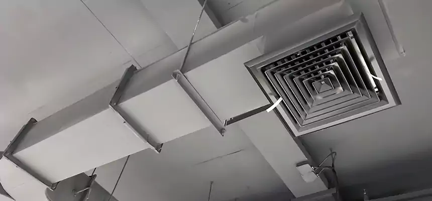 Restorative Allergy Relief Vent Cleaning – Coil, Blower & Housing Detail in Chicago Heights