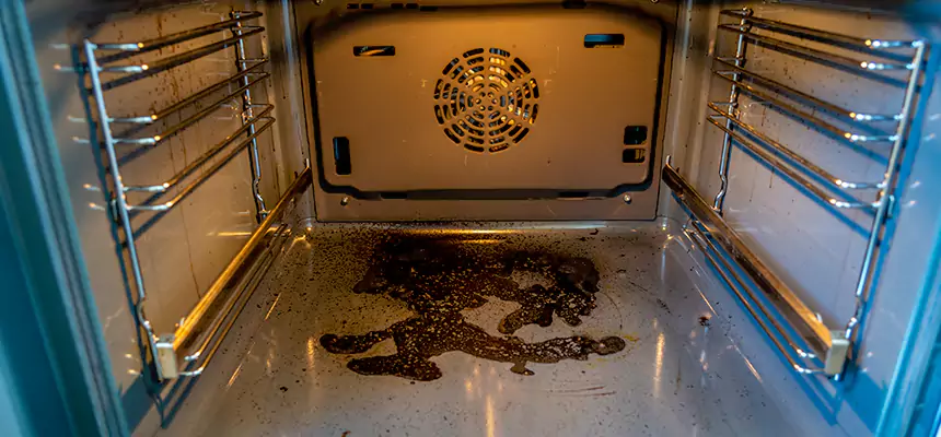 Our Dryer Vent Mold Cleaning Services in Chicago Heights, IL