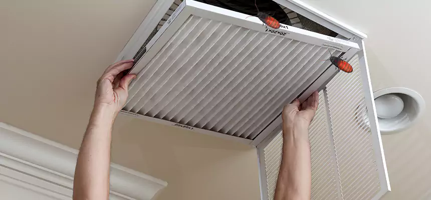 Our Insect Removal from Air Ducts Services in Chicago Heights, IL