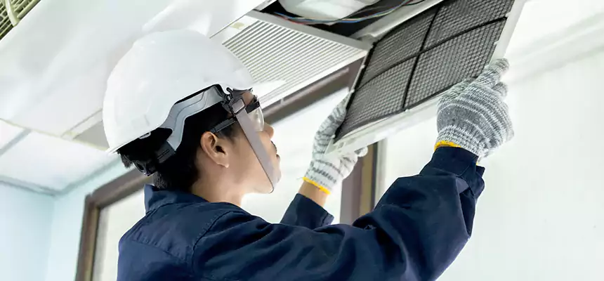 Our Mold & Mildew Removal from Air Ducts Services in Chicago Heights, IL