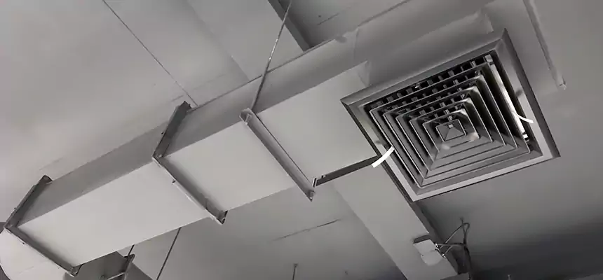 Our Pest Removal From Ducts Services in Chicago Heights, IL