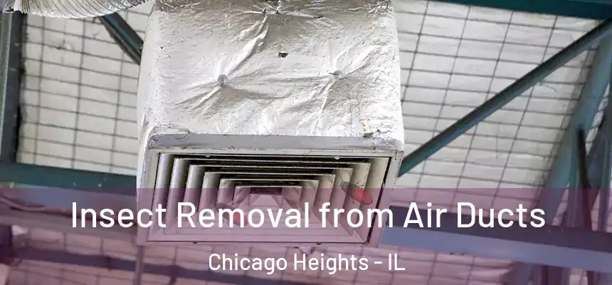  Insect Removal from Air Ducts Chicago Heights - IL