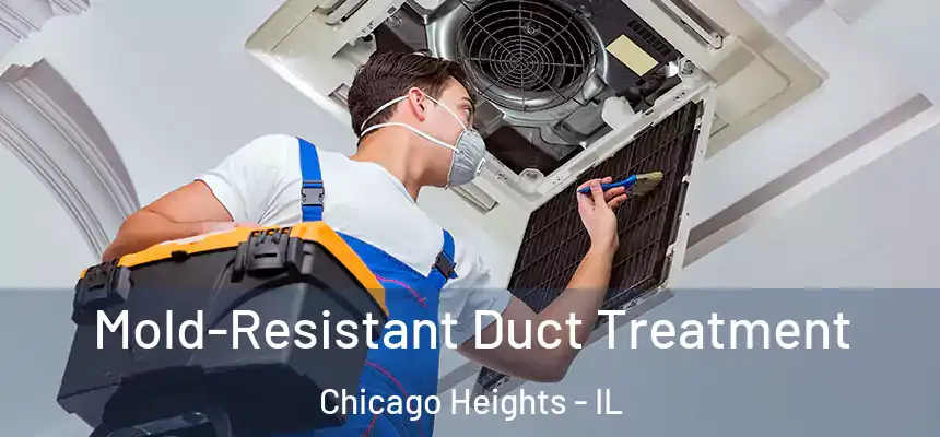  Mold-Resistant Duct Treatment Chicago Heights - IL