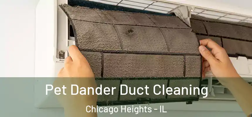  Pet Dander Duct Cleaning Chicago Heights - IL