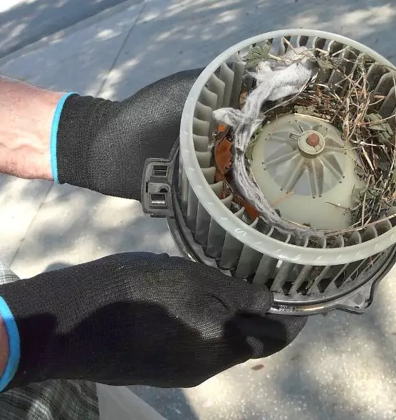 About Air Duct Mice Removal in Chicago Heights, IL