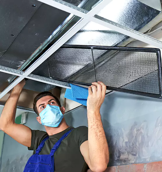 Professional Air Duct Pollen Cleaning in Chicago Heights, IL
