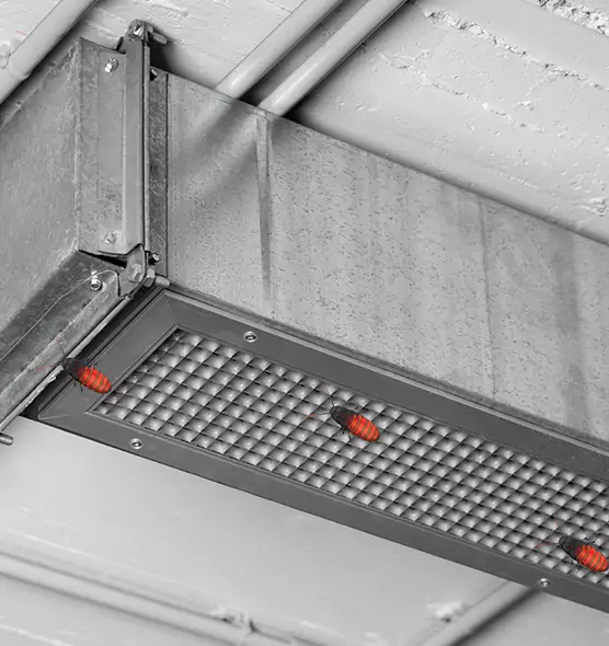 Affordable Insect Removal from Air Ducts in Chicago Heights, IL