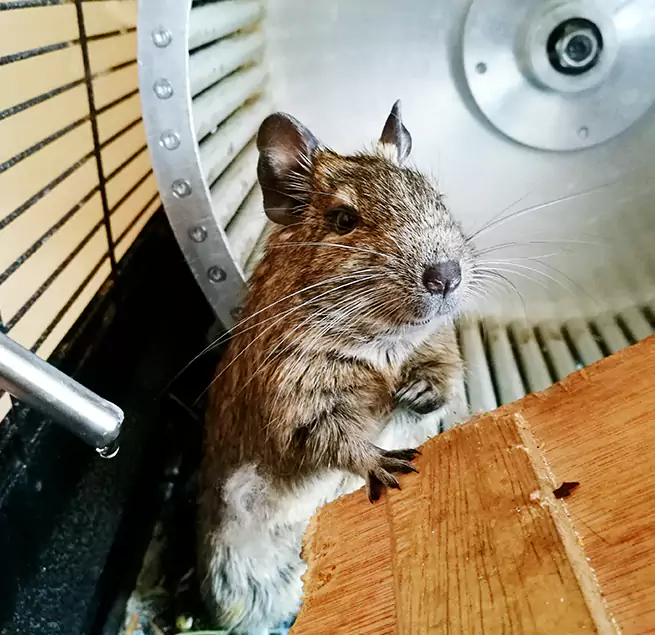 Why Homeowners & Businesses Trust Us Chicago Heights, IL