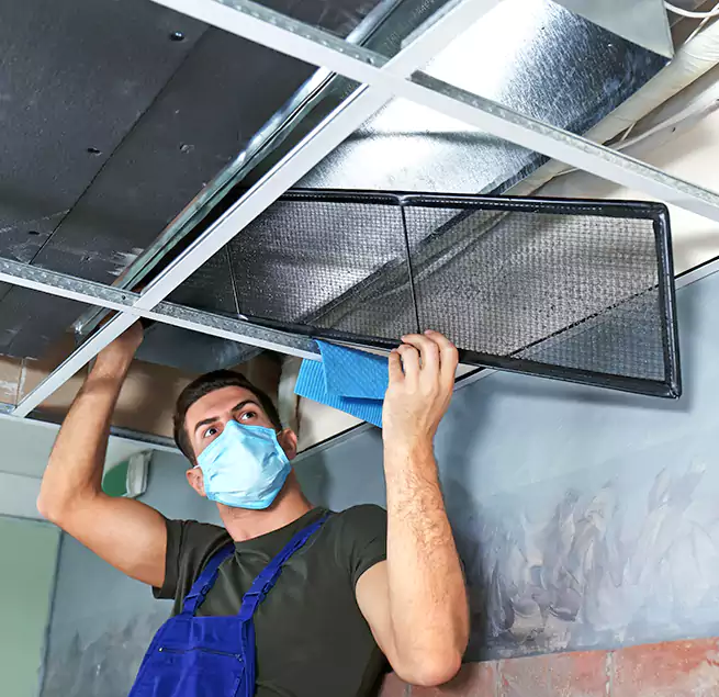 Why Homeowners Businesses Trust Us in Chicago Heights, IL