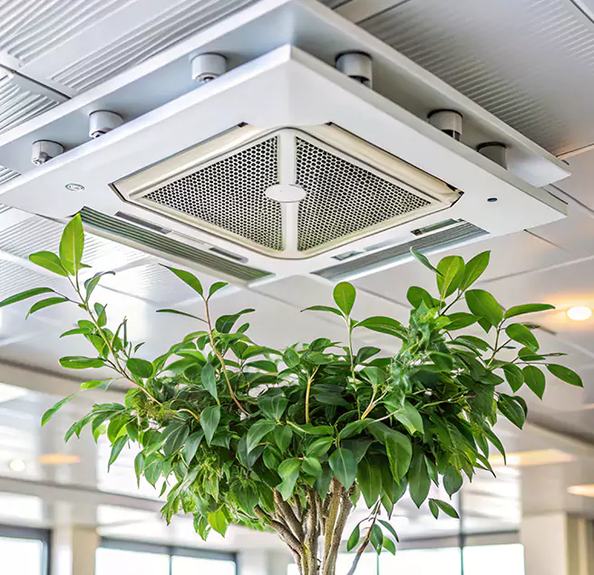 Why Homeowners & Businesses Trust Us in Chicago Heights, IL