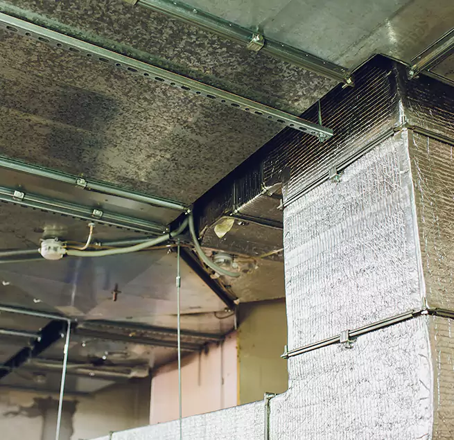 Why Homeowners & Businesses Trust Us in Chicago Heights, IL?